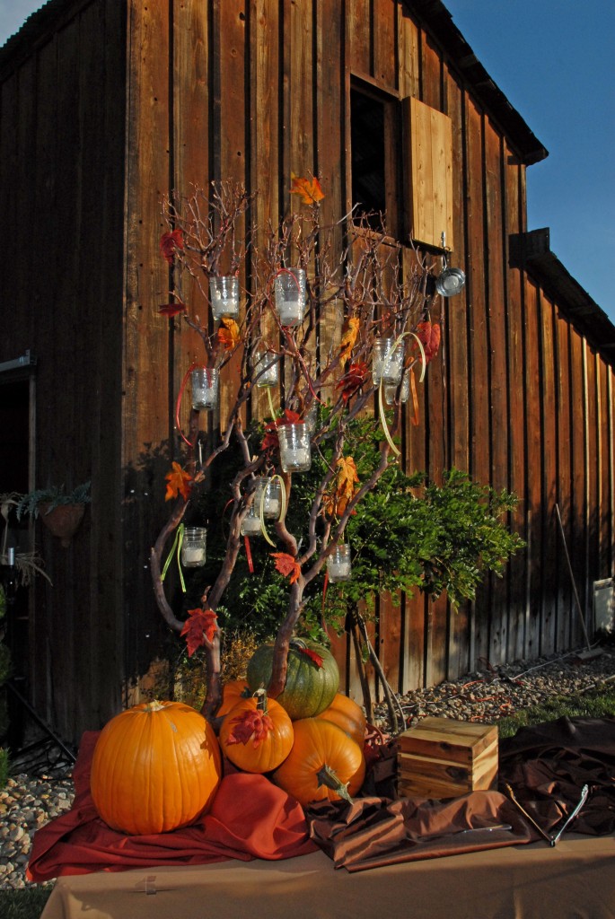 The barn behind the buffet